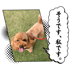 hachi_20241012095217