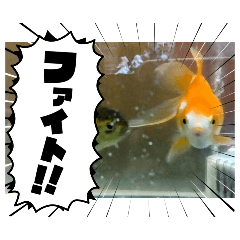 Junko_20241012060020