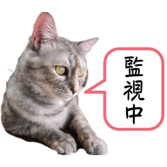 kchan_20241012223553
