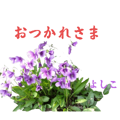 kayo_20241012183715