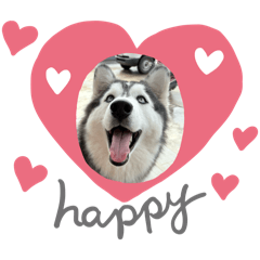 Nantawanfaii_20241013092945