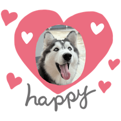 Nantawanfaii_20241013104527