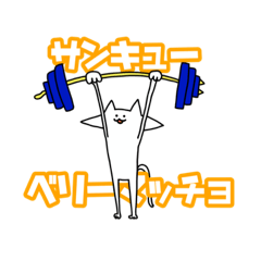 Nya-Gi-Oh(muscle form)