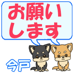 Imado's letters Chihuahua2