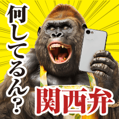 mother gorilla [meet up] kansai