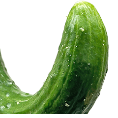 BIG! Cucumber