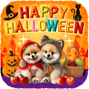 HALLOWEEN Pomeranian!