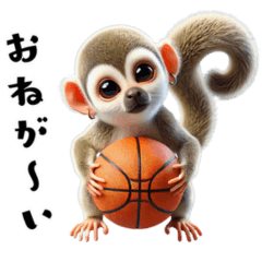 Squirrel Monkey x Basketball!Super cute!