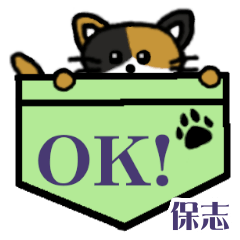 Yasushi's Pocket Cat's  [32]