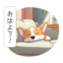 Daily life with Corgi