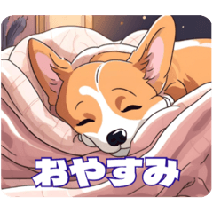 Daily life with Corgi 2