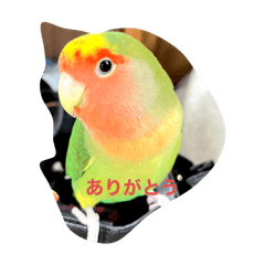 ^_^keiko