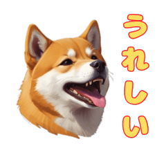 Daily Life of a Energetic Shiba Inu