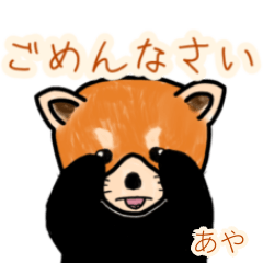 Aya's lesser panda