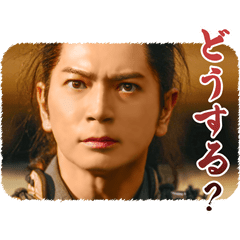 Taiga Drama: What Will You Do, Ieyasu?