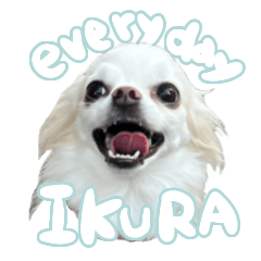 everyday IKURA