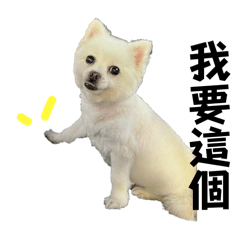 他咪生活❶