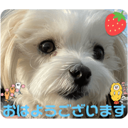 meryl_20241014114443