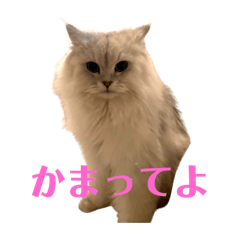 yh_20241013174550