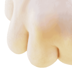 finger-joint SpecII