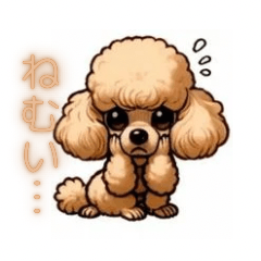 Cute  Toy Poodle stickers