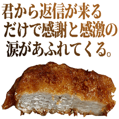 Ultimate grateful Pork cutlet Tonkatsu