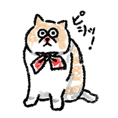 Hand-drawn Exotic Shorthair