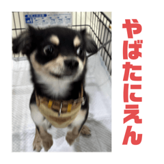 fukun_20241014064723