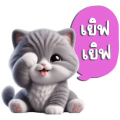 cute gray cat love love