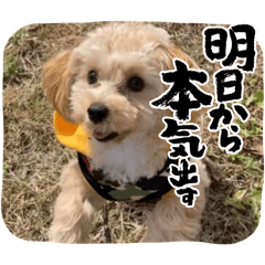 cream_20241014111626