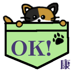 Yasushi's Pocket Cat's  [33]