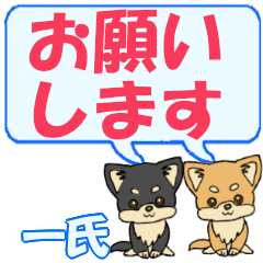 Kazuuji's letters Chihuahua2