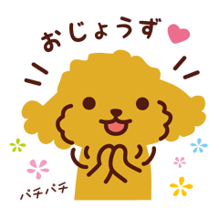 Toy Poodle Compliment Sticker