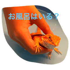 cain_20241014174355