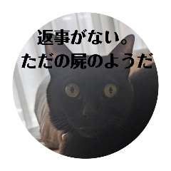 Xr_20241014202520