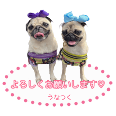 aomame_20241014230633