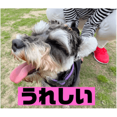 SHELLY_20241014185452