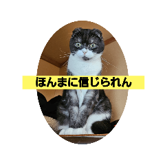 rinaokk_20241014195241