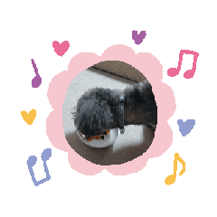 mami to kokowa_20241015121417