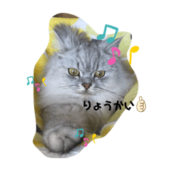 chisa_20241014212749