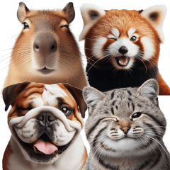 Winking Animals