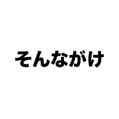 tanuki_20241014215027