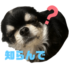 Ricky_20241014214735