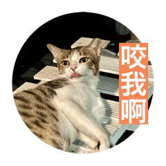 花們