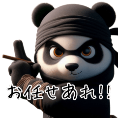 Ninja Panda