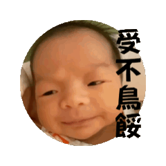 團購花枝丸