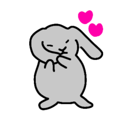 Lop ear rabbit gray