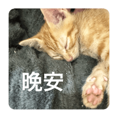 李煎餃2