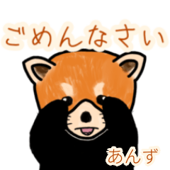 Anzu's lesser panda