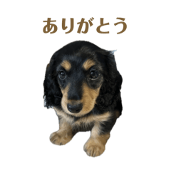 mona_20241015215939